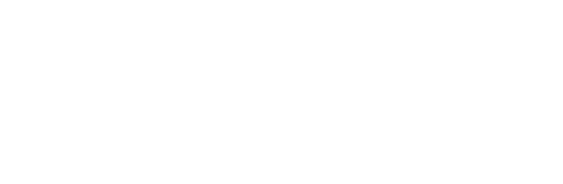 SkillOrb logo white